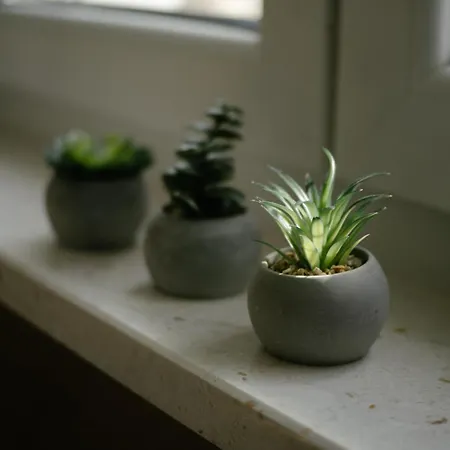 Apartment Castellano *